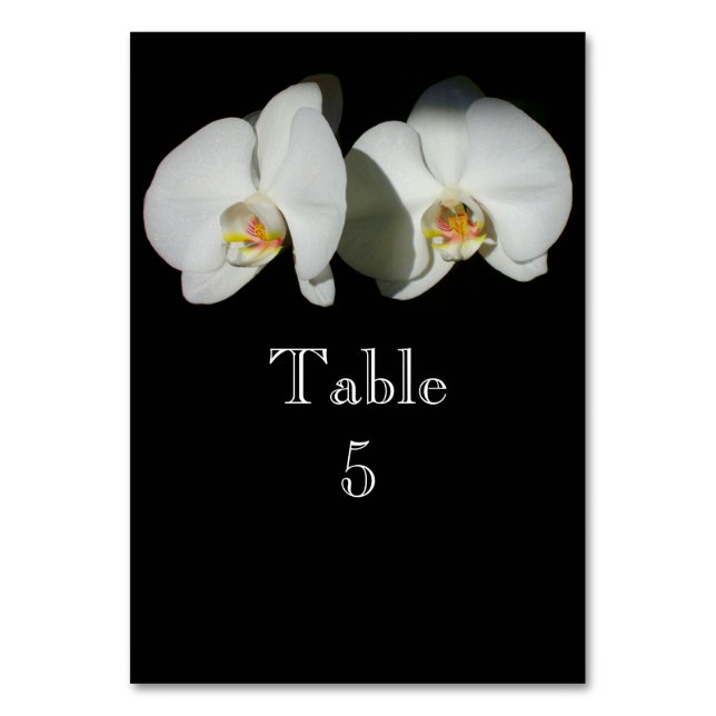 Romantic White Orchids, tropical floral photo Table Number (Front)