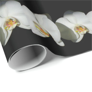 Romantic White Orchids, tropical floral photo Wrapping Paper