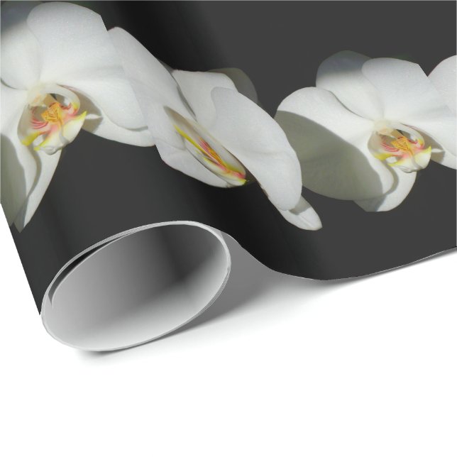 Romantic White Orchids, tropical floral photo Wrapping Paper (Roll Corner)