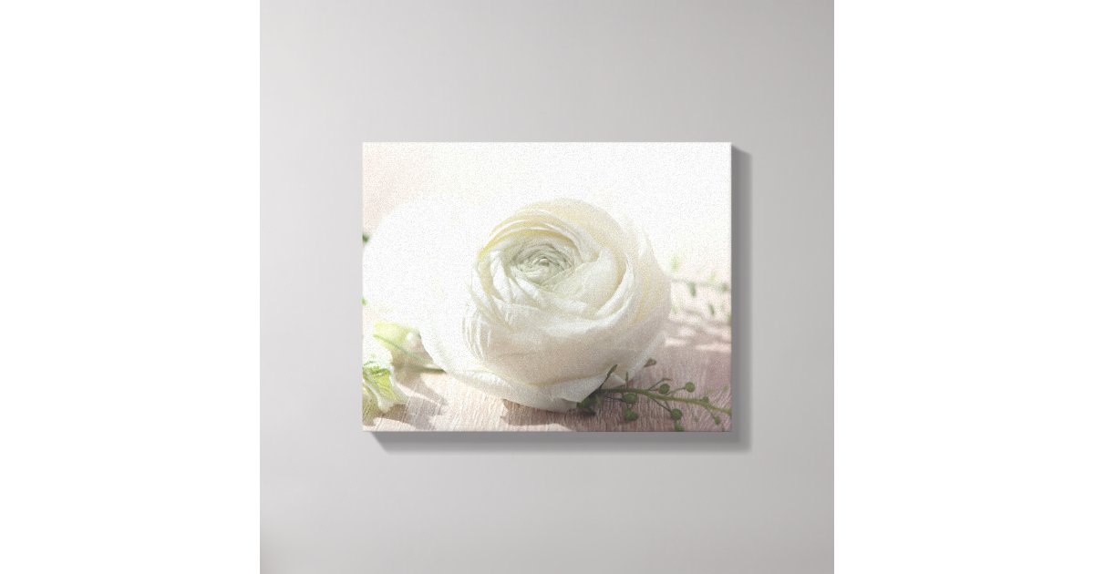 Romantic White Rose Canvas Print | Zazzle