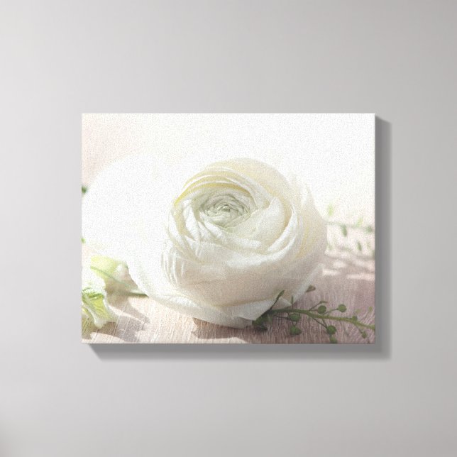 Romantic White Rose Canvas Print (Front)