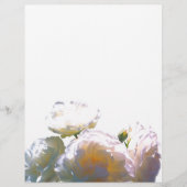 Romantic white, yellow, orange, golden amber roses (Front)