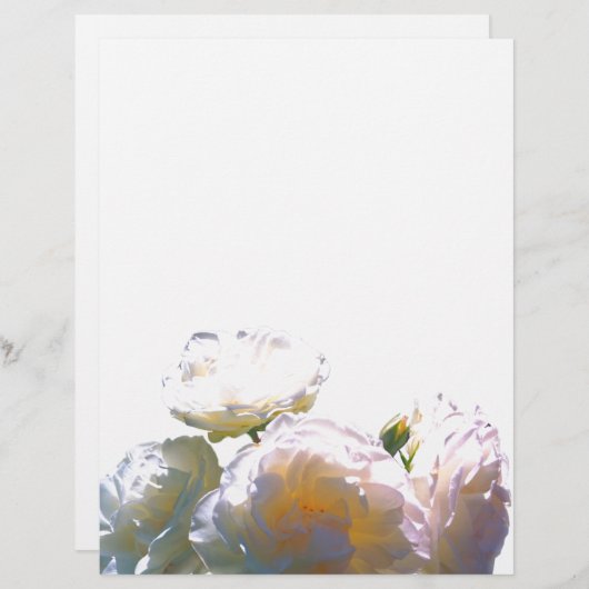 Romantic white, yellow, orange, golden amber roses (Front/Back)