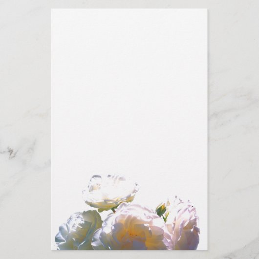 Romantic white, yellow, orange, golden amber roses (Front)