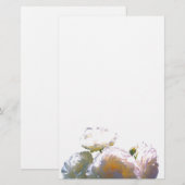 Romantic white, yellow, orange, golden amber roses (Front/Back)