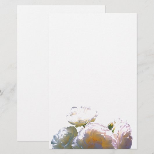 Romantic white, yellow, orange, golden amber roses (Front/Back)