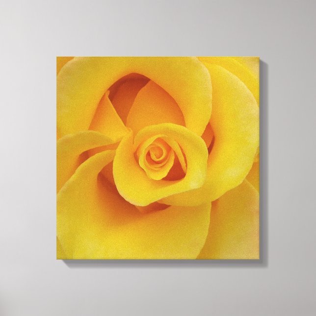 Romantic Yellow Rose Petals Canvas Print (Front)
