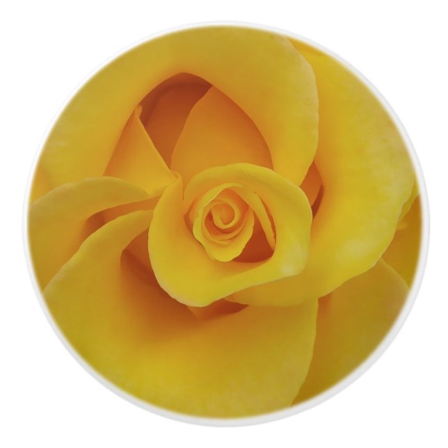 Romantic Yellow Rose Petals Ceramic Knob (Front)