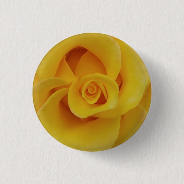 Romantic Yellow Rose Petals Pinback Button (Front)