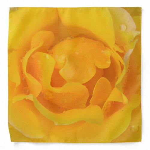 Romantic Yellow Rose Water Drops Bandana