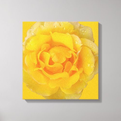 Romantic Yellow Rose Water Drops Canvas Print