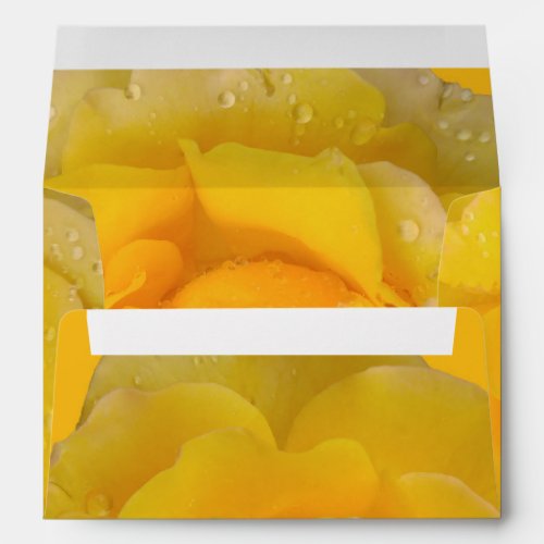 Romantic Yellow Rose Water Drops Envelope