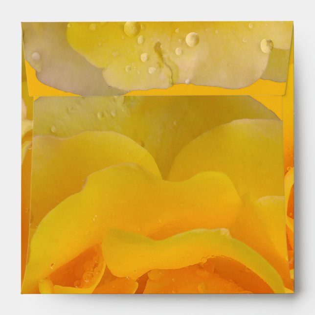 Romantic Yellow Rose Water Drops Envelope (Back (Top Flap))