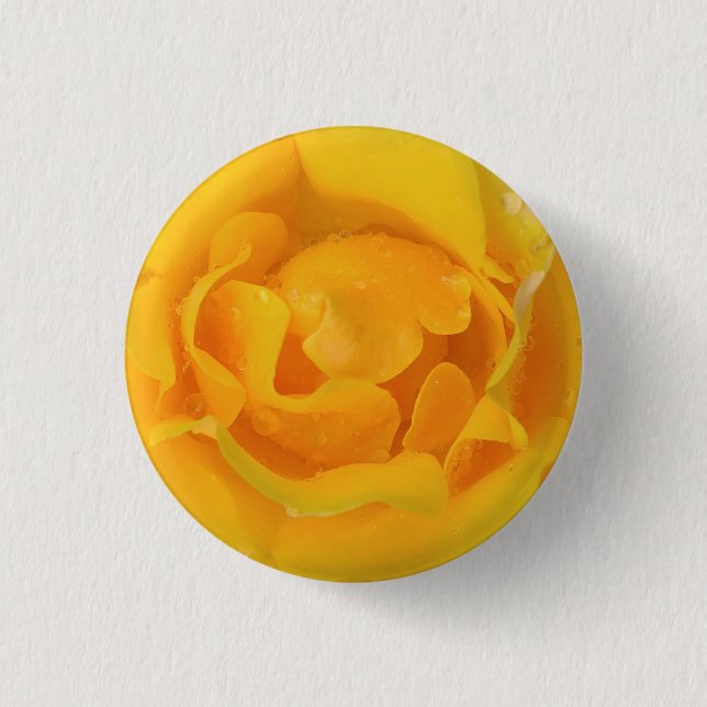 Romantic Yellow Rose Water Drops Pinback Button (Front)