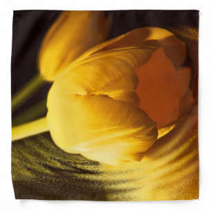 Romantic Yellow Tulip Bandana
