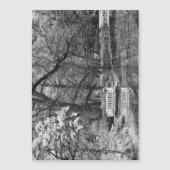 Romatic lake (Front)