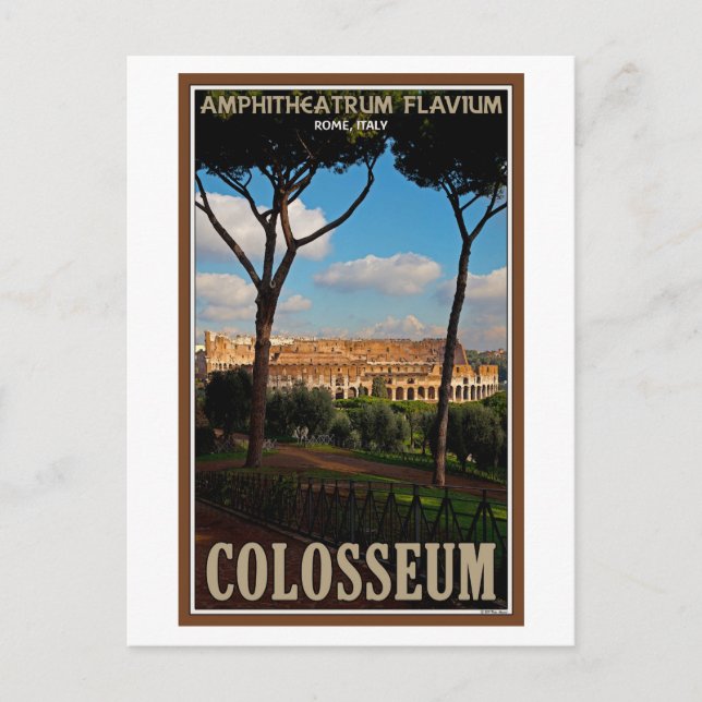 Rome - Colosseum from Palatine Hill Postcard (Front)