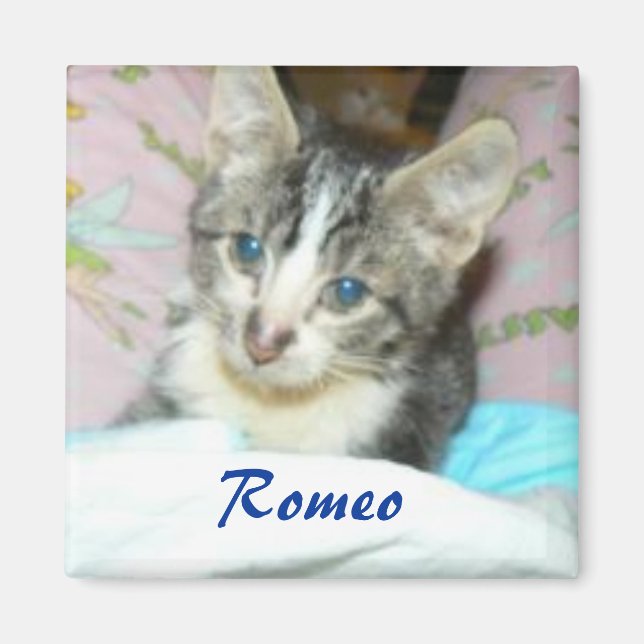 romeo magnet (Front)