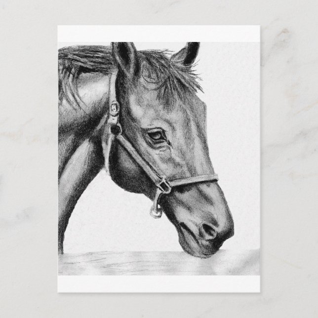 Romeo Postcard (Front)