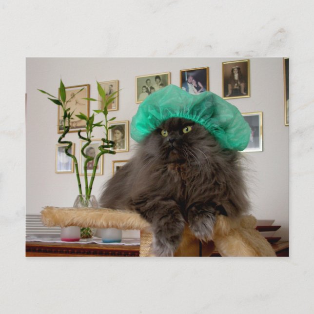 Romeo Postcard (Front)