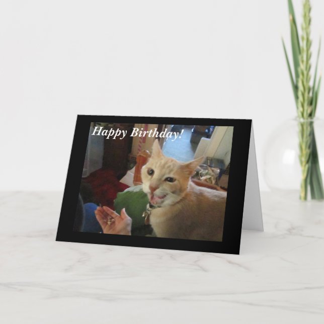 Romeo the Cat Happy Birthday Card (Front)