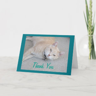 Romeo The Cat Thank You Greeting Card