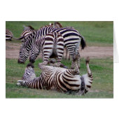 Romping About (Front Horizontal)