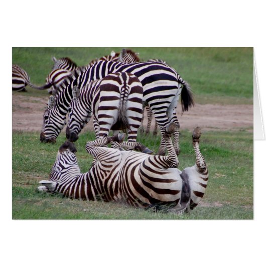 Romping About (Front Horizontal)