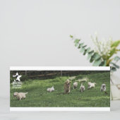 Romping "bookmark" (Standing Front)