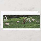 Romping "bookmark" (Front/Back)