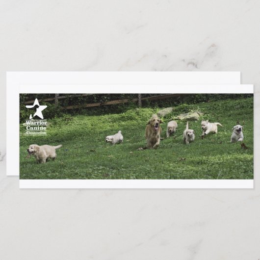 Romping "bookmark" (Front/Back)