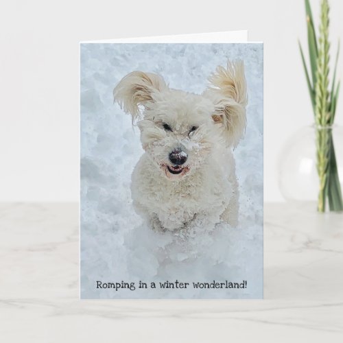 Romping Dog in a winter wonderland Holiday Card