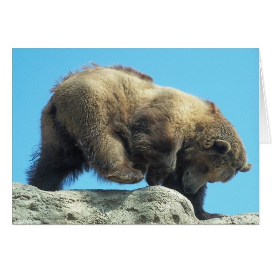 romping on the rocks cards (Front Horizontal)