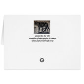Romulus & Remus Cards (Back Horizontal)