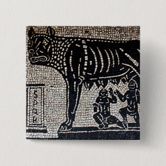 Romulus & Remus Pinback Button