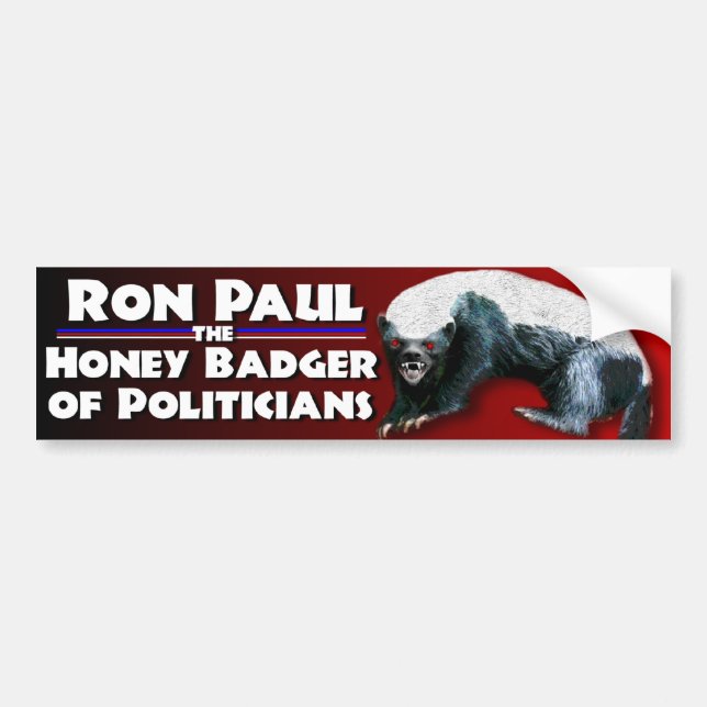Ron Paul for President Bumper Sticker (Front)