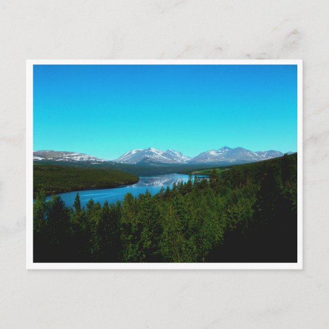 Rondane National Park Norway  Postcard (Front)
