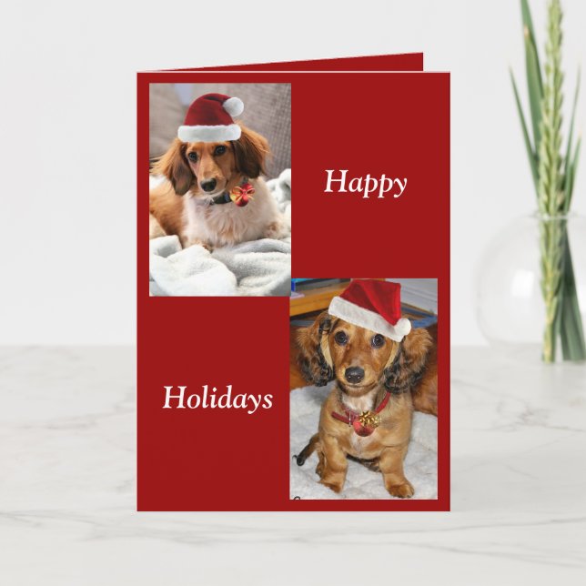 ronni pups holiday card (Front)