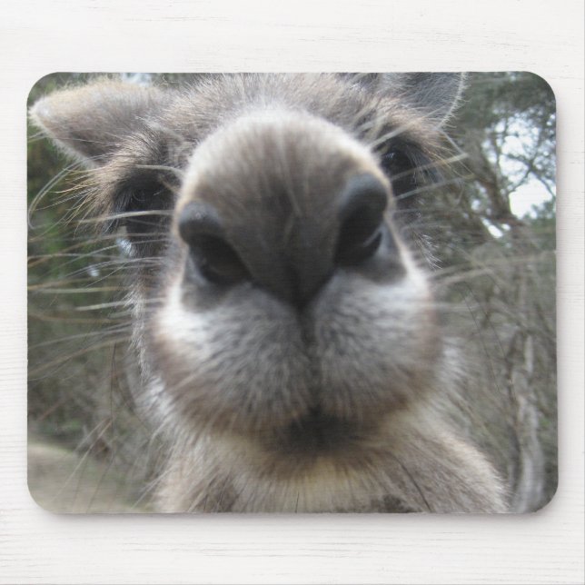 Roo Bob Mouse Pad (Front)