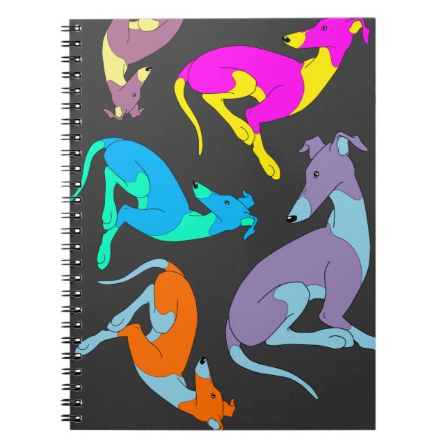Roo Notebook (Front)
