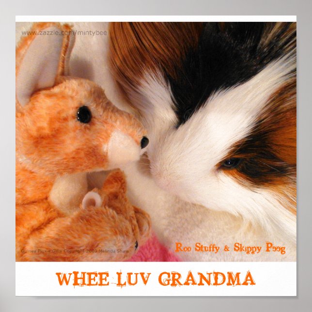 Roo Stuffy & Skippy Peeg Poster (Front)