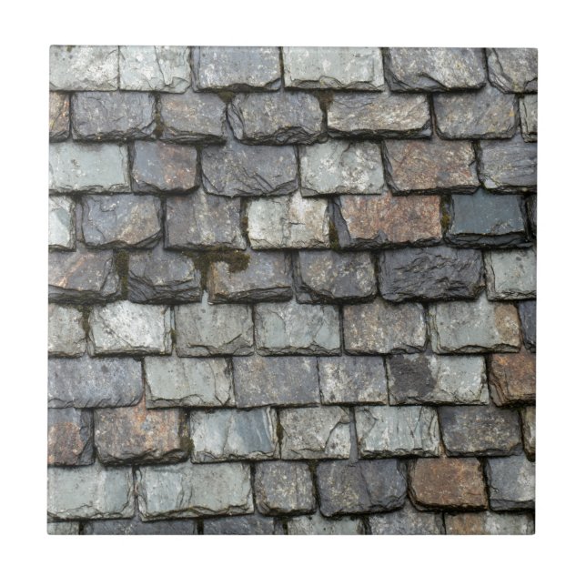 Roof cover with slate plates ceramic tile (Front)