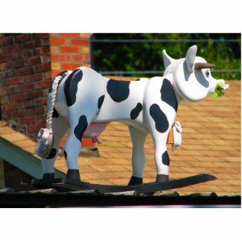 Roof Cow Cutout by northwest_photograph at Zazzle