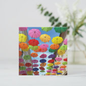 Roof of umbrellas (Standing Front)