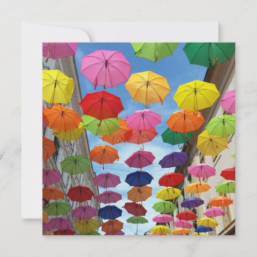 Roof of umbrellas (Front)