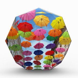 Roof of umbrellas acrylic award