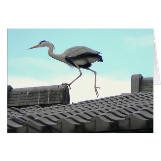 Roof Runner (Front Horizontal)