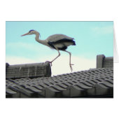 Roof Runner Cards (Front Horizontal)