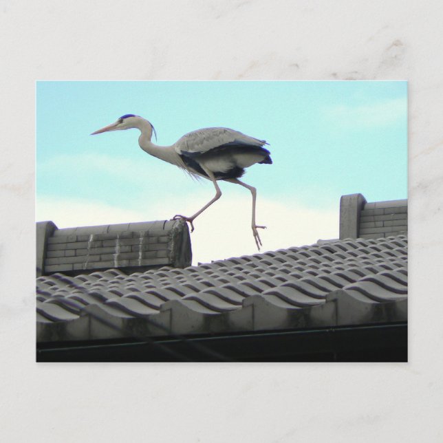 Roof walker postcard (Front)