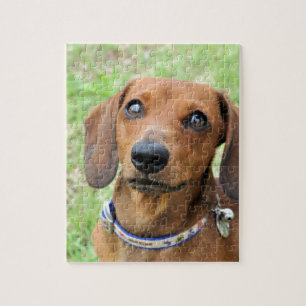 roofing jigsaw puzzle